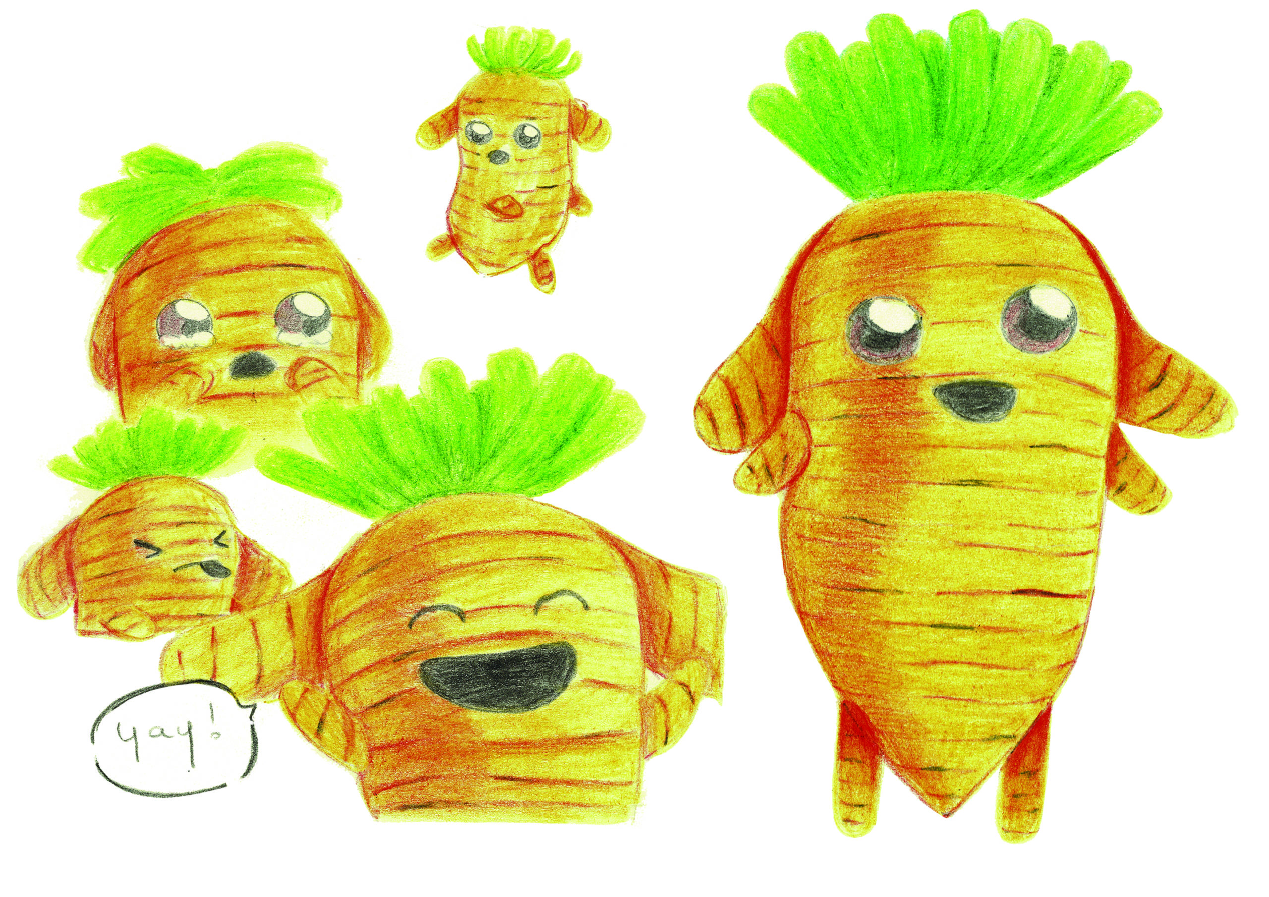 Illustration – Character design d’une carotte