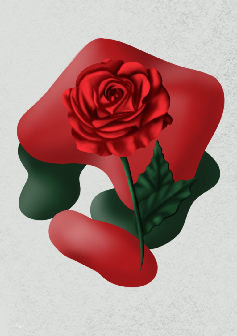 Illustrations – Roses
